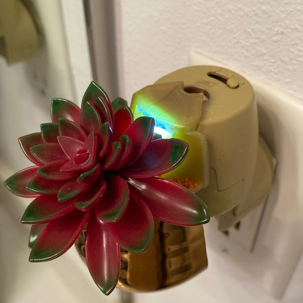 Yankee candle succulent light up diffuser plug in
